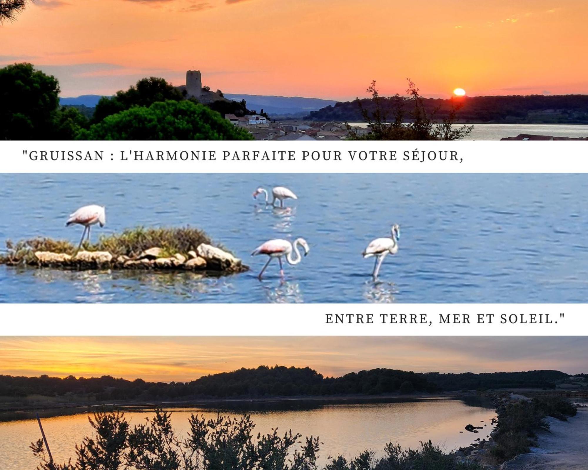 L'Eden - Vue Magnifique Sur Le Port, Les Chalets & La Mer - Груиссан Экстерьер фото